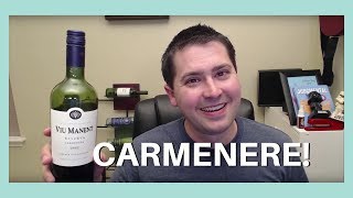 Viu Manent Carmenere Wine Review [upl. by Polad984]