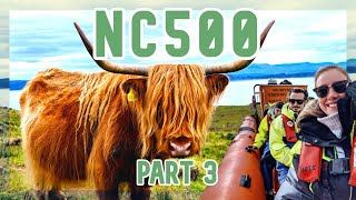 NC500  PART 3 WHALE WATCHING HAIRY COWS amp HAGGIS [upl. by Colson]