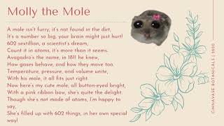 1023  Mole Day Poem [upl. by Ahtikal]