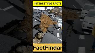 Interesting fact by fact finder  ytshorts foryou shortsfeed [upl. by Bodkin]