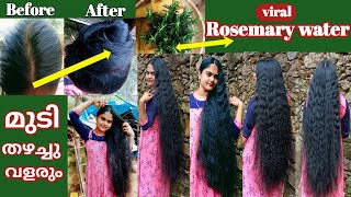 വിശ്വസിച്ചേപറ്റൂ 😱 ROSEMARY WATER FOR HAIR GROWTH  Blessy Long Hair Videos [upl. by Mauchi]