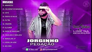 JORGINHO PEGAÇAO 2024  CD COMPLETO [upl. by Aymer]