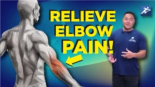 Elbow Pain Relief Exercises [upl. by Anelav]