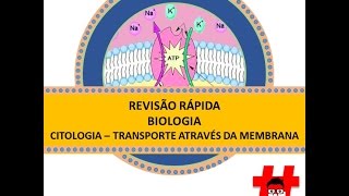 REVISÃO RÁPIDA – TRANSPORTE ATRAVÉS DA MEMBRANA [upl. by Baerl]