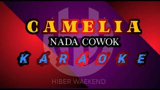 CAMELIA  karaoke nada pria  RHOMA IRAMA [upl. by Amoakuh]