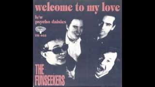 THE FUNSEEKERS  Welcome to my Love [upl. by Pollie]