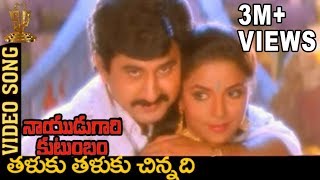 Taluku Thaluku Chinnadi Video Song  Naidugari kutumbam Telugu Movie  Suman  Swarna [upl. by Rodnas]