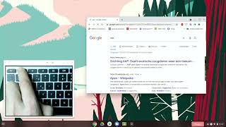 Toetsenbord functies in Chromebook [upl. by Alokin]