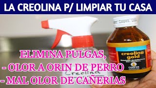 🌺 USOS DE LA CREOLINA para desinfectar y limpiar tu casa [upl. by Anizor200]