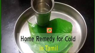 சளிக்கான சிறந்த மருந்து  Home Remedy for Cold in Tamil  Betel Leaf  healthiswealthours [upl. by Juli]