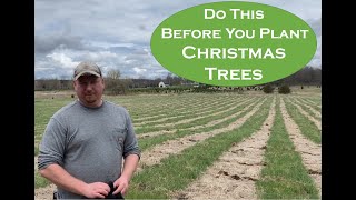 Christmas Tree Farming How we prepare our fields for planting Christmas Trees [upl. by Anhoj76]