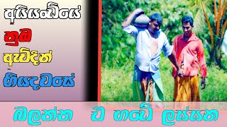 Aiyandiye Nuba Avidin giya dawase අයියංඩියේ නුඹ ඇවිදින් ගිය දවසේ බලන්න එ හඩේ ලස්සන [upl. by Rebmat]