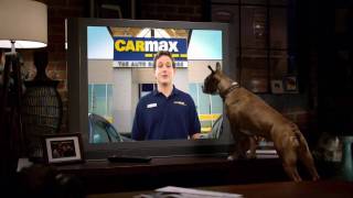 CARMAX  DOG  SUPERBOWL [upl. by Letha]