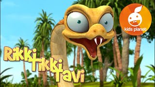 RIKKI TIKKI TAVI Episode 4  cartoons for kids  stories for children  Jungle book by R Kipling [upl. by Nytsuj279]