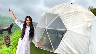 24Hour Bubble Tent Challenge  Shafas new episode in Hindi [upl. by Eseilenna384]