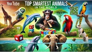 Top 10 Smartest Animals in the World 🌍🐒  Can They Outsmart Humans [upl. by Yrrag872]