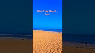 Golden Beach Puri 🌊 youtubeshorts blueflagbeach puri odisha [upl. by Essile927]