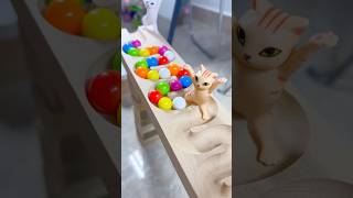 Marble runs with extremely rolling slopes marblerun marblerunrace asmr [upl. by Retniw511]