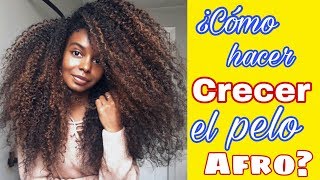 ¿Cómo hacer crecer el pelo afro natural rizadoCOMPROBADOTips [upl. by Assillim616]