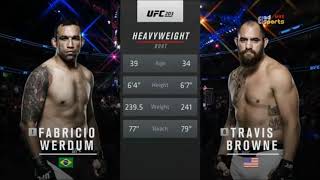 Fabricio Werdum vs Travis Browne [upl. by Agretha768]