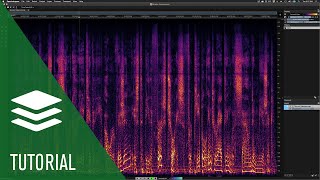 DeEsser  Spectralayers Pro 7 Tutorial [upl. by Nnalyrehc980]