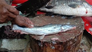 Singhara Fish Cutting Skills  Fish Cutting in Pakistan  PAKISTAN FOOD SECRETS [upl. by Aloeda]