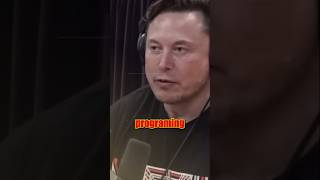 Elon Musk on Digital Immortality Are We Creating Our Legacy or a Digital Ghost [upl. by Yneffit]