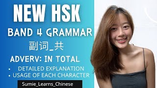 【NEW HSK】IMPORTANT Grammar副词共 Adverb Together  BAND 4  In total  Altogether  Together [upl. by Anelav]