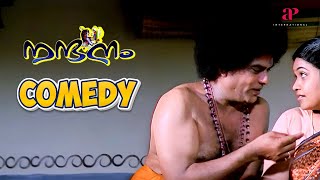 Nandanam Malayalam Movie  Comedy Scene  03  Prithviraj Sukumaran  Navya Nair  Jagathy [upl. by Rodge183]