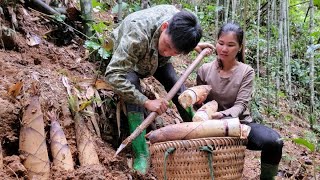 Mountain life Harvest bamboo shoots and sell them at the market to get money to buy household items [upl. by Anilec]