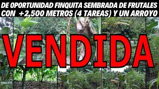 Finquita sembrada de Frutales de 2500 metros 4 tareas y un Arroyo en Anton Sánchez de Bayaguana [upl. by Onimod]