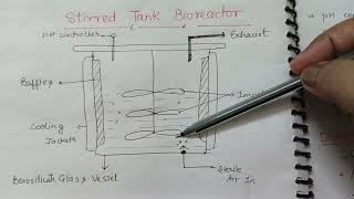 Enzyme Reactor and Stirred tank reactor [upl. by Uehttam]