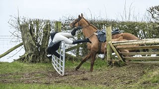 😲 De Ergste Paardrijd Fails En Paarden Bloopers Grappige Paarden Filmpjes 😲 [upl. by Adli]