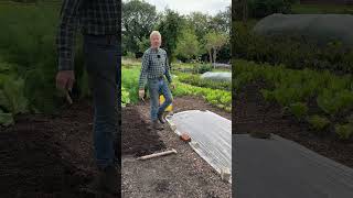 Prepping beds in autumn so that soil is mulched in winter and ready for spring or plant garlic now [upl. by Segal223]