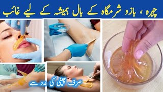 Best Hair Removal Cream  Permanent Hair Remove At Home  Sugar Wax DIY  Simple Food Style [upl. by Shaylyn512]