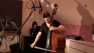 Dittersdorf — Concerto No 2 Mov 1 Played by Bogusław Furtok Double Bass [upl. by Solracesoj]