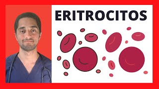 ERITROCITOS  HEMATOLOGÍA [upl. by Allis]