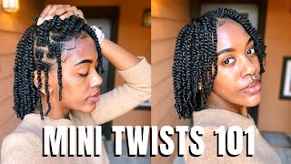 JUICY MINI TWISTS ON NATURAL HAIR PERFECT PROTECTIVE STYLE FOR WINTER  MINI TWISTS 101 EP 1 [upl. by Cowey790]