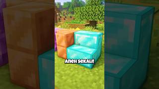 Block Paling ILLEGAL Di Minecraft [upl. by Llezo]