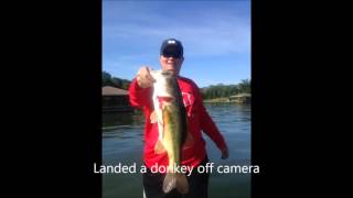 Richland Chambers Reservoir largemouth bass fishing [upl. by Yerrok]