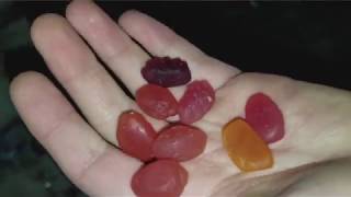 Welchs Fruit Snacks Review [upl. by Nnov]