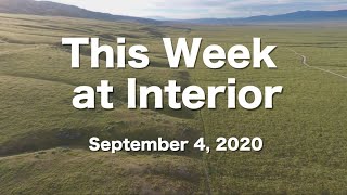 This Week at Interior September 4 2020 [upl. by Osugi729]