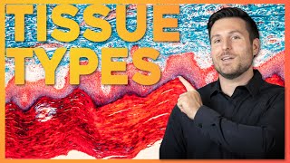 Intro to Histology The Four Tissue Types  Corporis [upl. by Lubow]