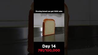 Day 14 Proving bread can get 100K subs memes shorts [upl. by Arayt79]