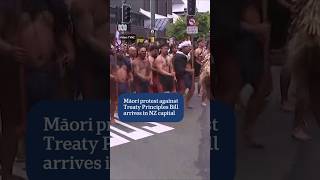 Māori protest arrives in NZ capital  ABC News [upl. by Nilson892]