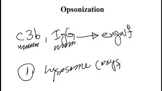 USMLE ACE Videos 44 Opsonization [upl. by Veejar]