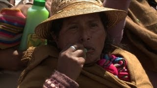 Les Boliviens se mobilisent pour défendre la coca [upl. by Anaigroeg]