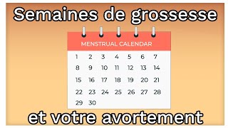 Les semaines de grossesse gestation et vos options davortement  Ami explique lavortement [upl. by Tjader]