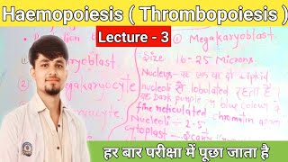 haemopoiesis notes  thrombopoiesis in hindi  thrombopoiesis notes thrombocytes [upl. by Andrej504]