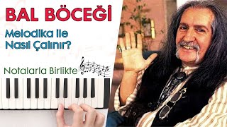 Barış Manço  BAL BÖCEĞİ Melodika NotalarıHızlı  Yavaş [upl. by Lara970]